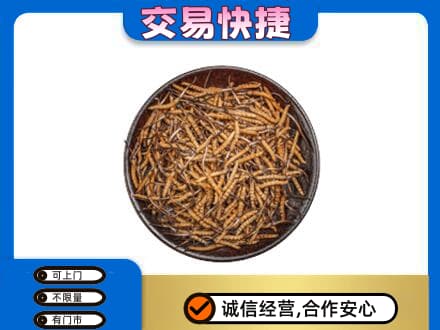 益阳市安化礼品回收虫草.jpg